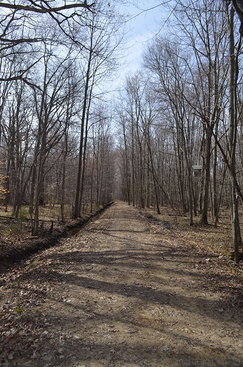 Property photo 101 - REAL ESTATE & PERSONAL PROPERTY AUCTION, 140 Acres offered in 8 Tracts or Combinations in Steuben County